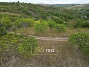 Prodej zahrady, Hustopeče, 3741 m2