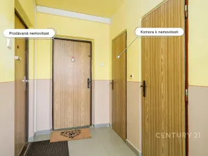 Prodej bytu 2+kk, Teplice, V závětří, 41 m2