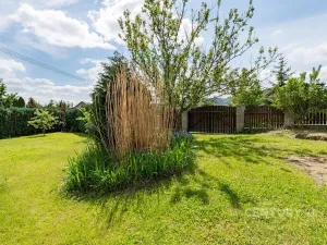 Prodej komerční nemovitosti, Děčín, Vilsnická, 900 m2
