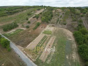 Prodej pozemku, Hustopeče, 990 m2