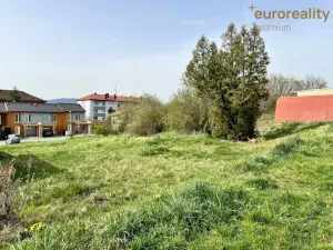 Pronájem zahrady, Tachov, Na Třešňovce, 763 m2