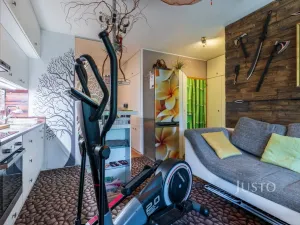 Prodej bytu 1+kk, Šakvice, Hlavní, 31 m2