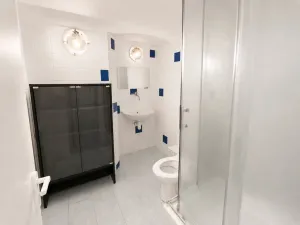Pronájem ubytování, Praha, Seifertova, 150 m2