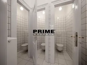 Pronájem bytu 5+1, Praha - Vinohrady, Italská, 255 m2