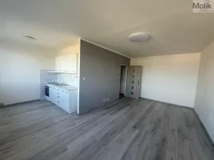Pronájem bytu 1+1, Most, Javorová, 34 m2
