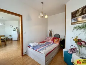 Prodej bytu 1+1, Znojmo, 37 m2