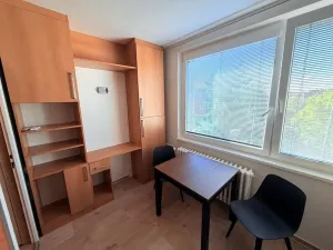 Pronájem bytu 1+1, Židlochovice, sídl. Družba, 35 m2