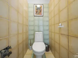 Prodej zemědělského objektu, Lkáň, 100 m2