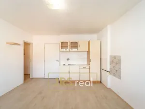 Prodej bytu 1+1, Brno - Veveří, 54 m2