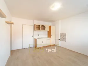 Prodej bytu 1+1, Brno - Veveří, 54 m2