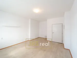 Prodej bytu 1+1, Brno - Veveří, 54 m2