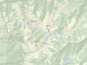 Dražba lesa, Trnava, 5255 m2