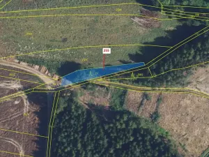 Dražba lesa, Bělá u Jevíčka, 498 m2