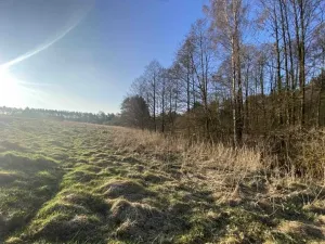 Dražba louky, Okna, 448 m2