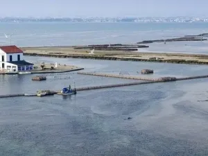 Prodej bytu 3+kk, San Pedro del Pinatar, Murcia, Španělsko, 84 m2