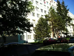 Pronájem bytu 2+kk, Kladno, Holandská, 42 m2