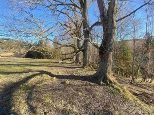 Prodej pole, Železná Ruda - Špičák, 1644 m2