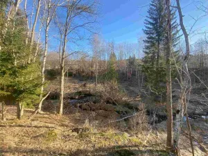 Prodej pole, Železná Ruda - Špičák, 1644 m2