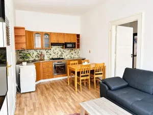 Pronájem bytu 2+kk, Plzeň, Čechova, 48 m2