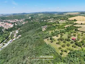 Prodej sadu/vinice, Dolní Kounice, 2107 m2