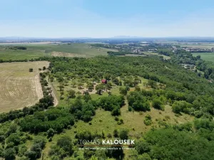 Prodej zahrady, Dolní Kounice, 2371 m2