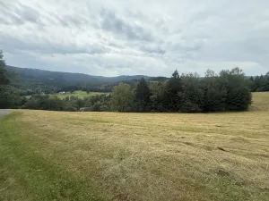 Prodej louky, Hamry, 84928 m2