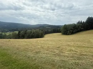 Prodej louky, Hamry, 84928 m2