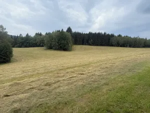 Prodej louky, Hamry, 84928 m2