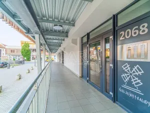 Pronájem bytu 2+kk, Dřevohryzy, 53 m2