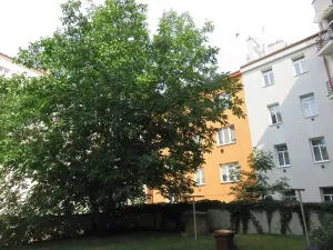 Prodej bytu 1+1, Praha - Libeň, Vosmíkových, 65 m2