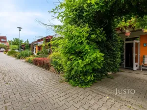 Prodej bytu 1+kk, Šakvice, Hlavní, 31 m2
