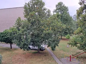 Prodej bytu 3+1, Brandýs nad Labem-Stará Boleslav, Kostelecká, 78 m2