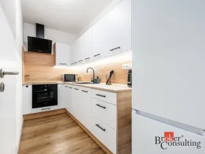 Pronájem bytu 2+kk, Ostrava - Mariánské Hory, Cottonové, 37 m2
