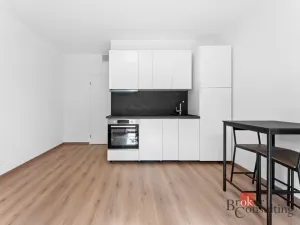 Pronájem bytu 1+kk, Tuchoměřice, V Kněžívce, 22 m2