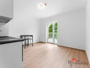 Pronájem bytu 1+kk, Tuchoměřice, V Kněžívce, 22 m2