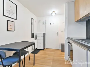 Pronájem bytu 1+kk, Brno, Netušilova, 32 m2