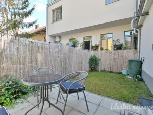 Pronájem bytu 1+kk, Brno, Netušilova, 32 m2