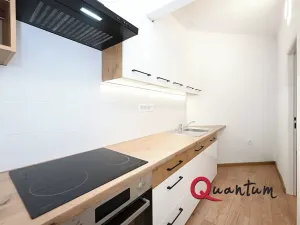 Pronájem bytu 5+kk, Praha - Vršovice, Mexická, 139 m2