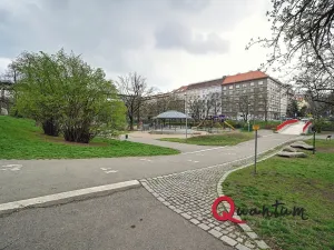 Pronájem bytu 1+kk, Praha - Vinohrady, Fričova, 32 m2