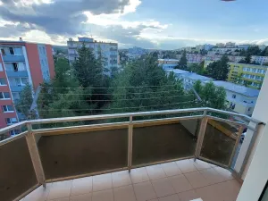 Pronájem bytu 1+1, Třebíč, Modřínová, 42 m2