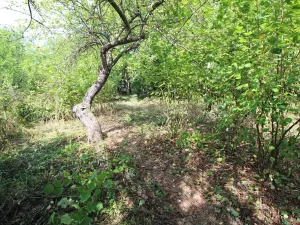 Prodej pozemku pro bydlení, Psáry, 1000 m2