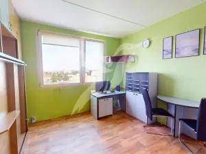 Pronájem bytu 1+kk, Plzeň, Sousedská, 25 m2