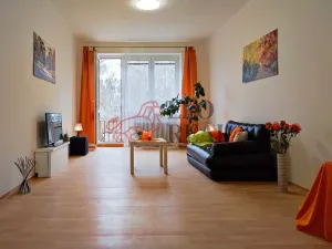 Pronájem bytu 2+1, Nový Jičín, Vančurova, 50 m2