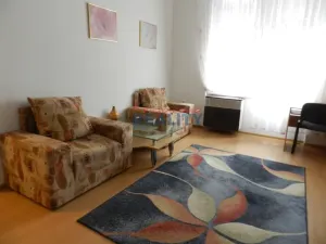 Pronájem bytu 1+1, České Budějovice - České Budějovice 7, Komenského, 64 m2