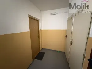 Pronájem bytu 2+kk, Bílina - Újezdské Předměstí, Síbova, 44 m2