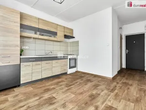 Prodej bytu 1+1, Ostrov, Družební, 41 m2