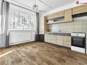 Prodej bytu 1+1, Ostrov, Družební, 41 m2