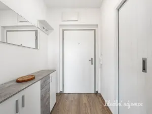 Pronájem bytu 1+kk, Praha - Libeň, Chlumčanského, 40 m2