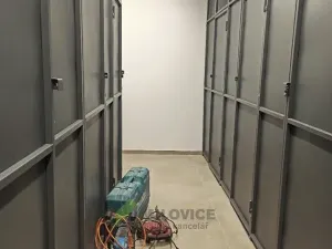 Pronájem bytu 1+kk, Milovice, Topolová, 28 m2