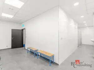Pronájem výrobních prostor, Uherský Brod, Nivnická, 2850 m2